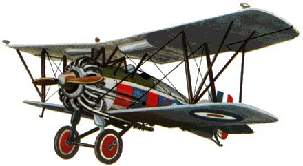 gloster_gamecock-s-1.gif, 37K