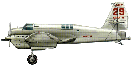 ant-29-s.gif, 30K