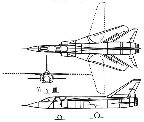 dassault_mirage-g.gif, 25K